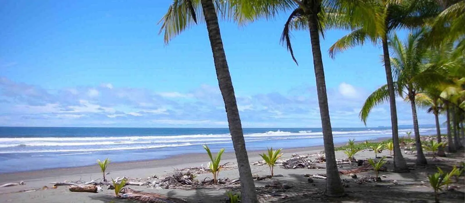 Bejuco coastal area